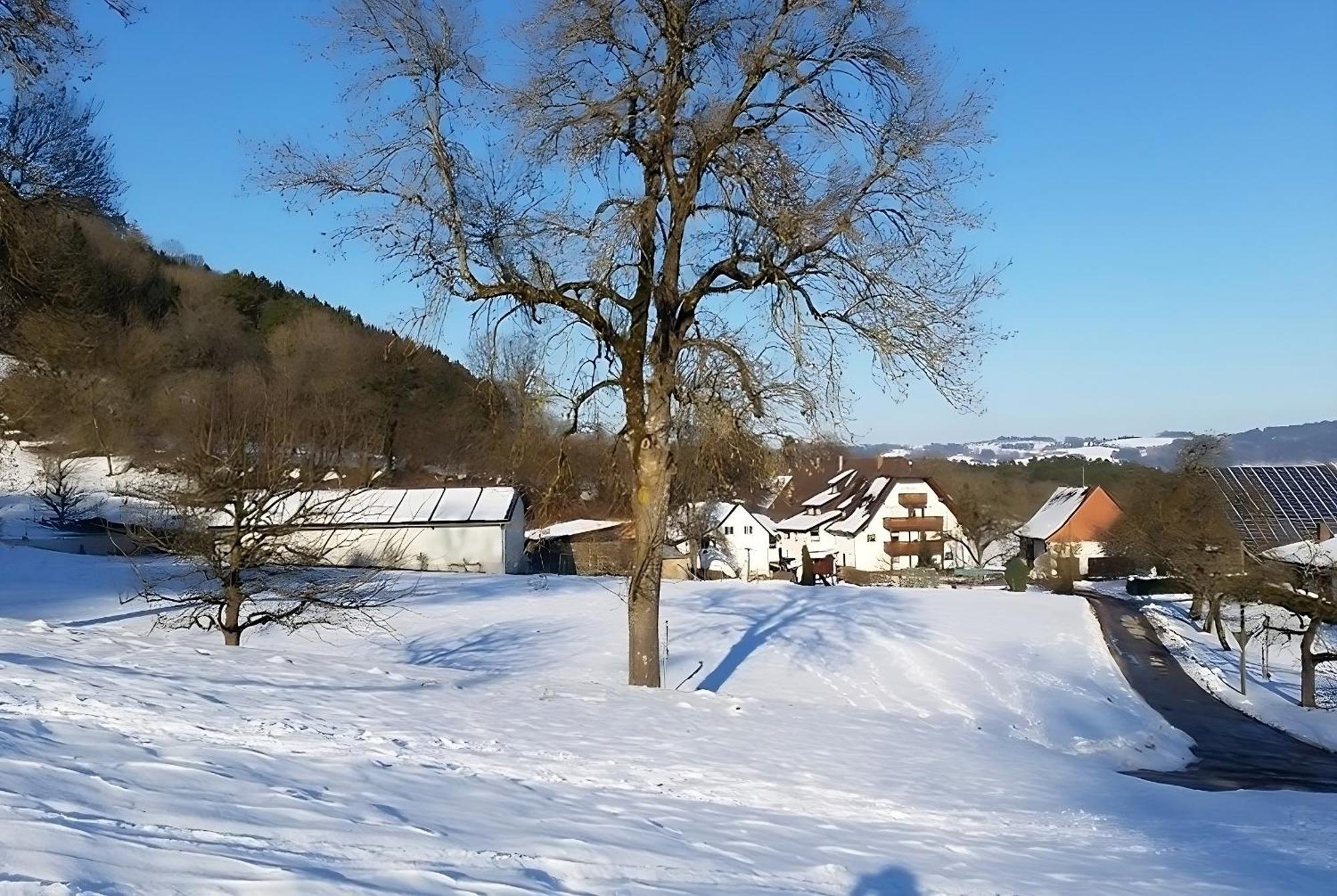 Mayer Burghoefe Owingen Kültér fotó